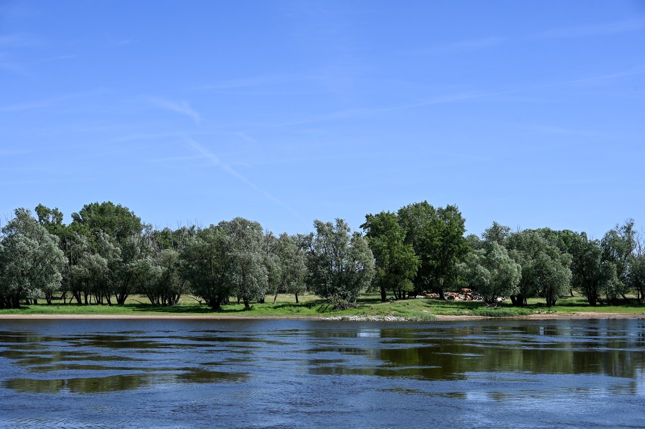 ELBAE_2026_05-0240
