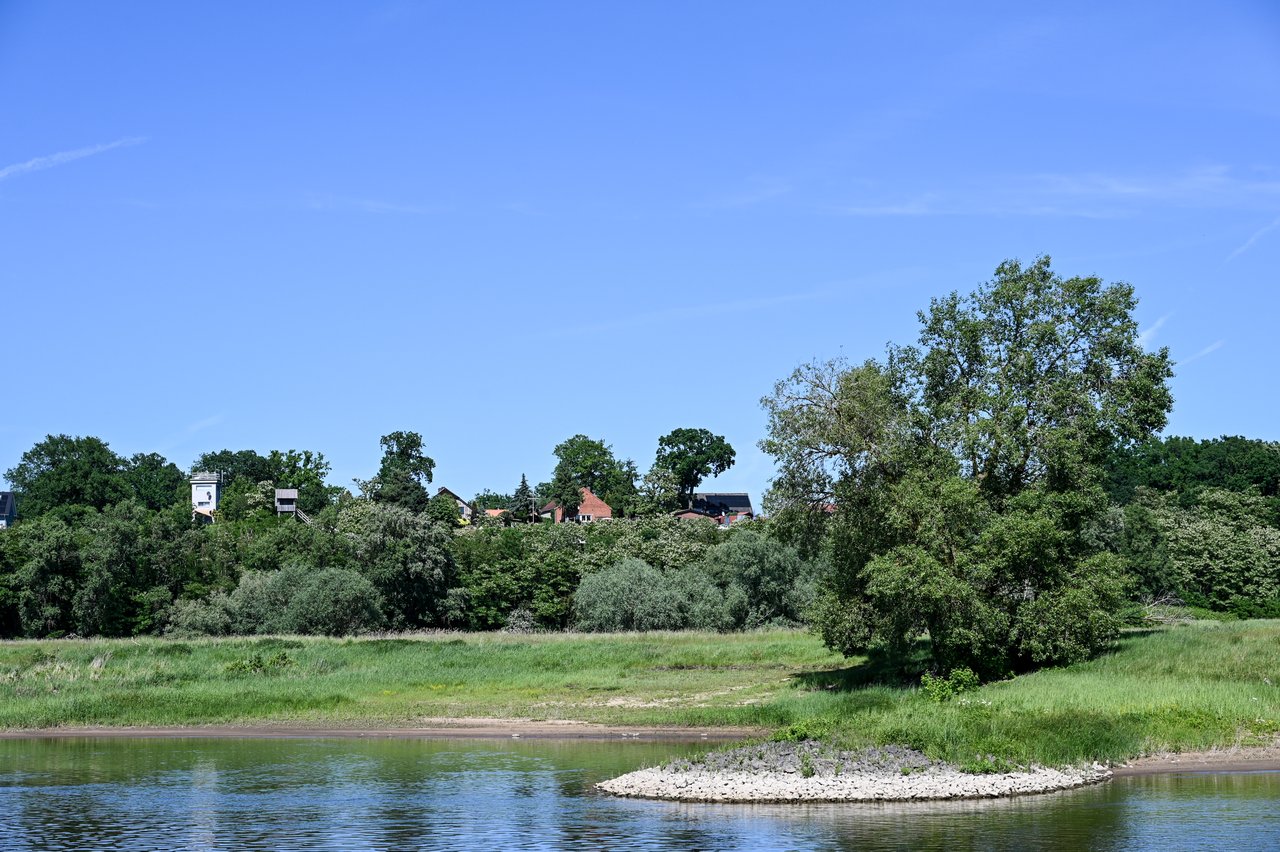 ELBAE_2026_05-0250