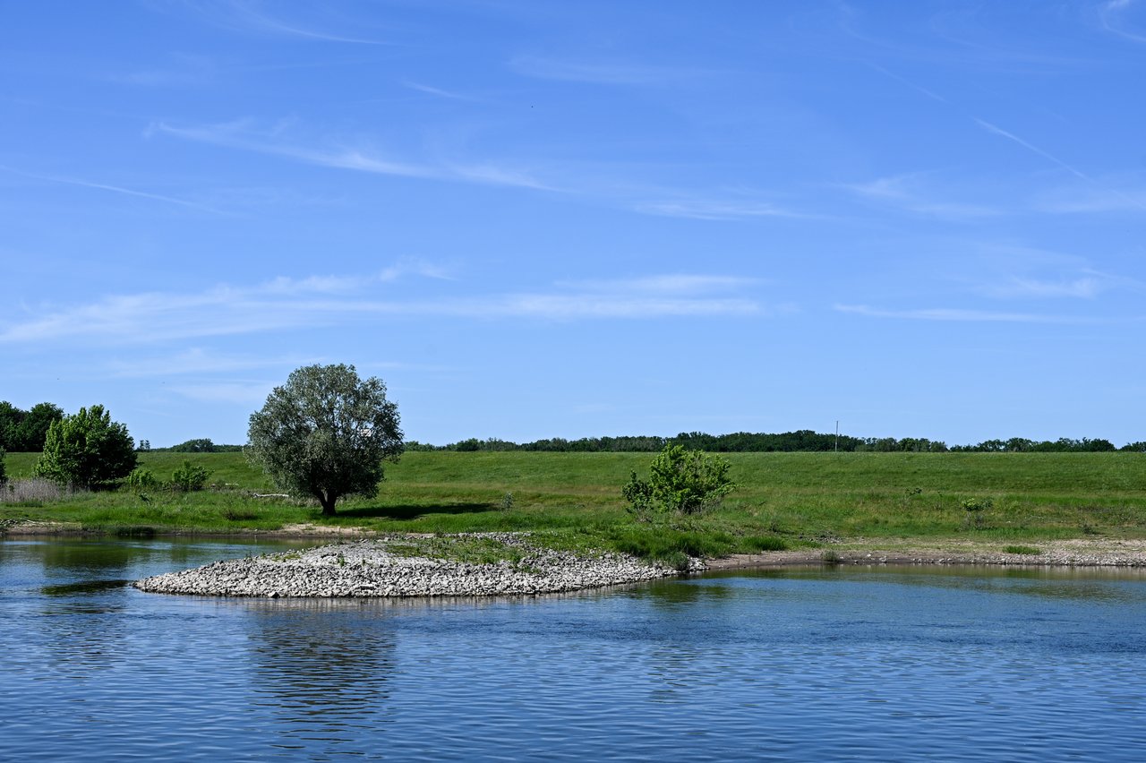 ELBAE_2026_05-0270