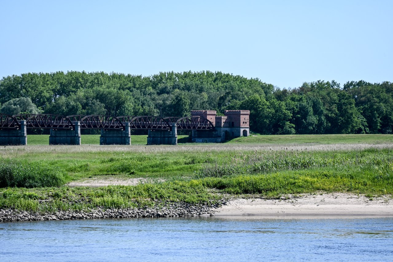 ELBAE_2026_05-0290