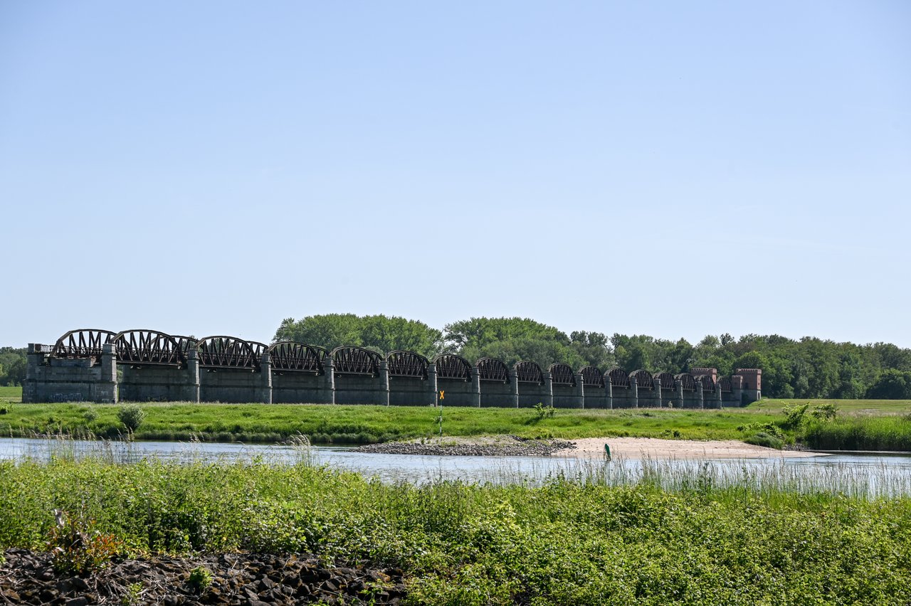 ELBAE_2026_05-0300