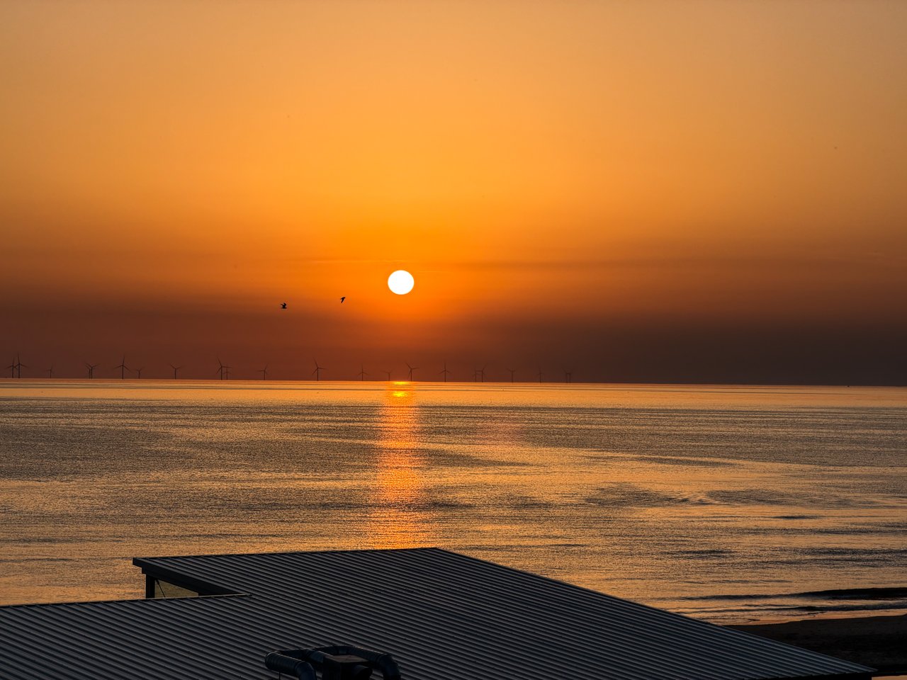 NLDG_2026_06-0340