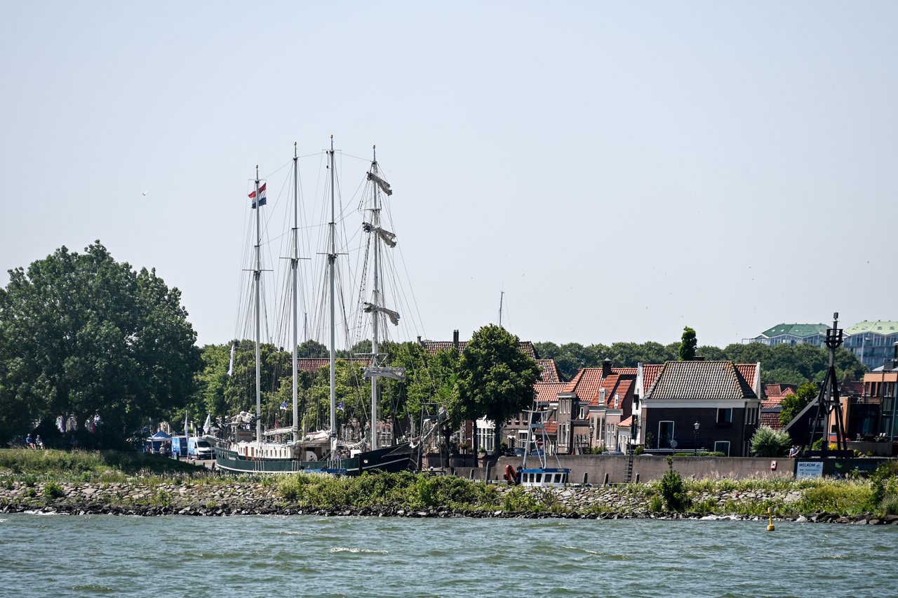 NLIR_2026_06-0650